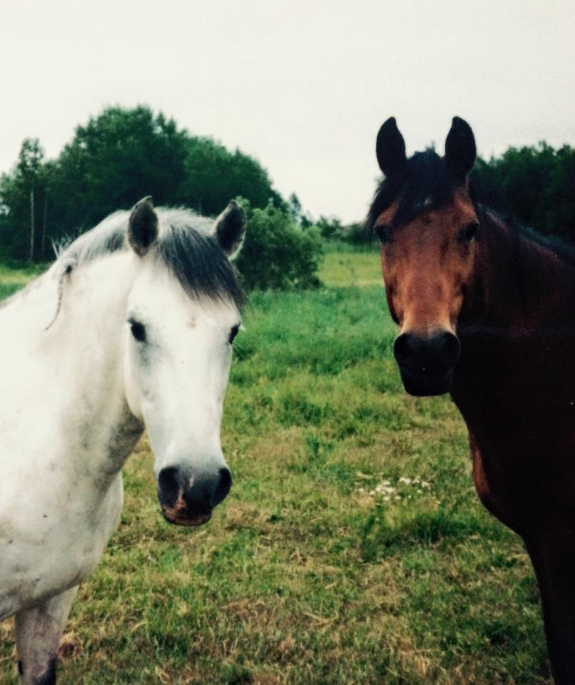 Knutte & Ampir
Foto Lise-Lotte Englund