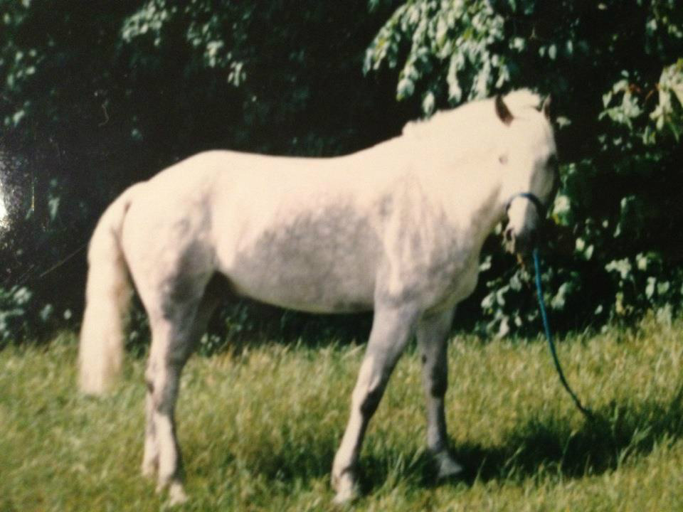 Carriglea
Foto Rebecca Lagh