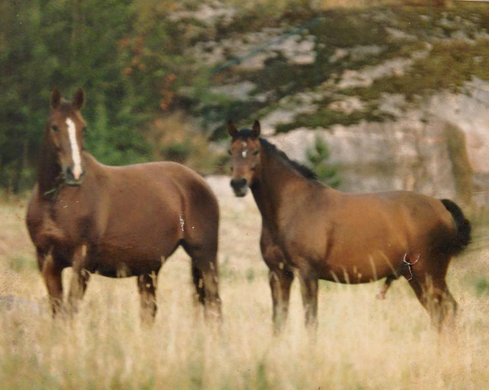 Ponderosa & Dompan
Foto Britta Tyrfelt