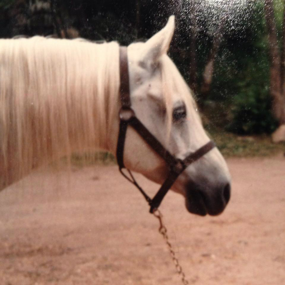 Shalom Foto Ingela Toth