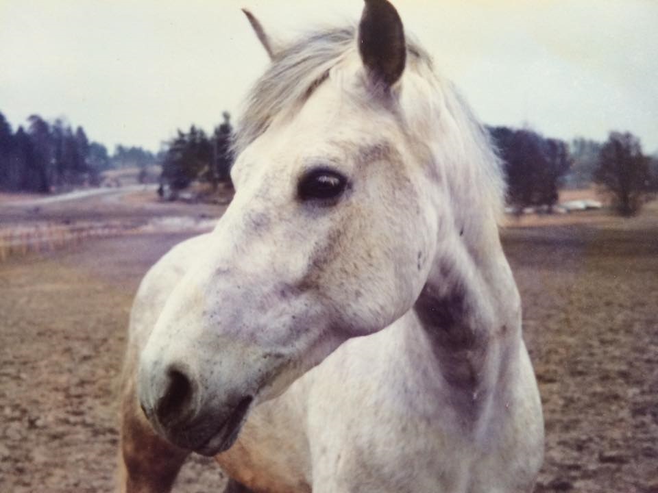 Foto Ingela Toth