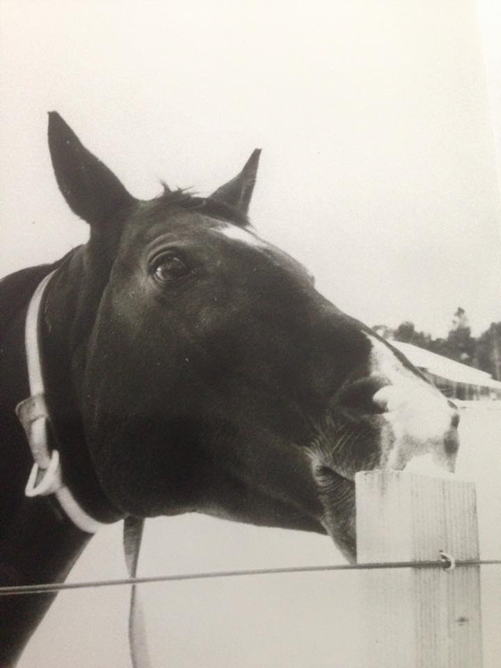 Foto Marie Sundelöf 
