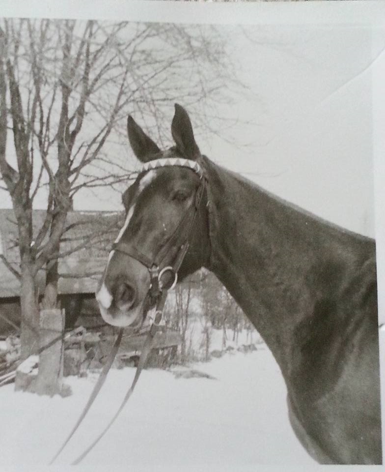 Foto Annica Isberg