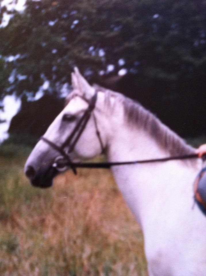 Foto Lotta Engström