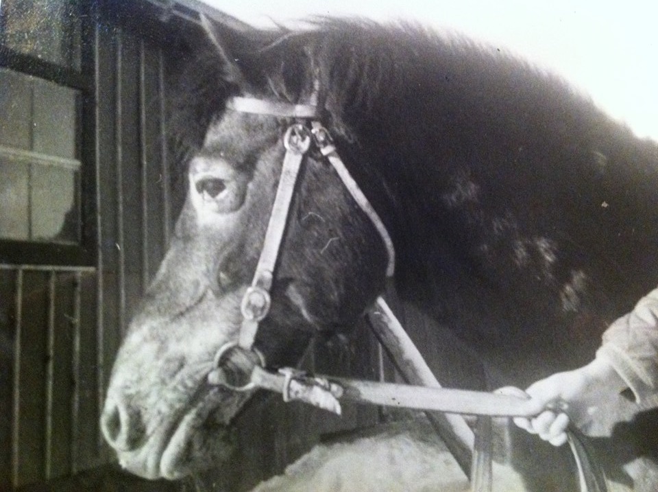 Foto Lillemor Back