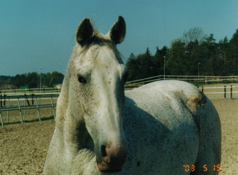 2003-05-15