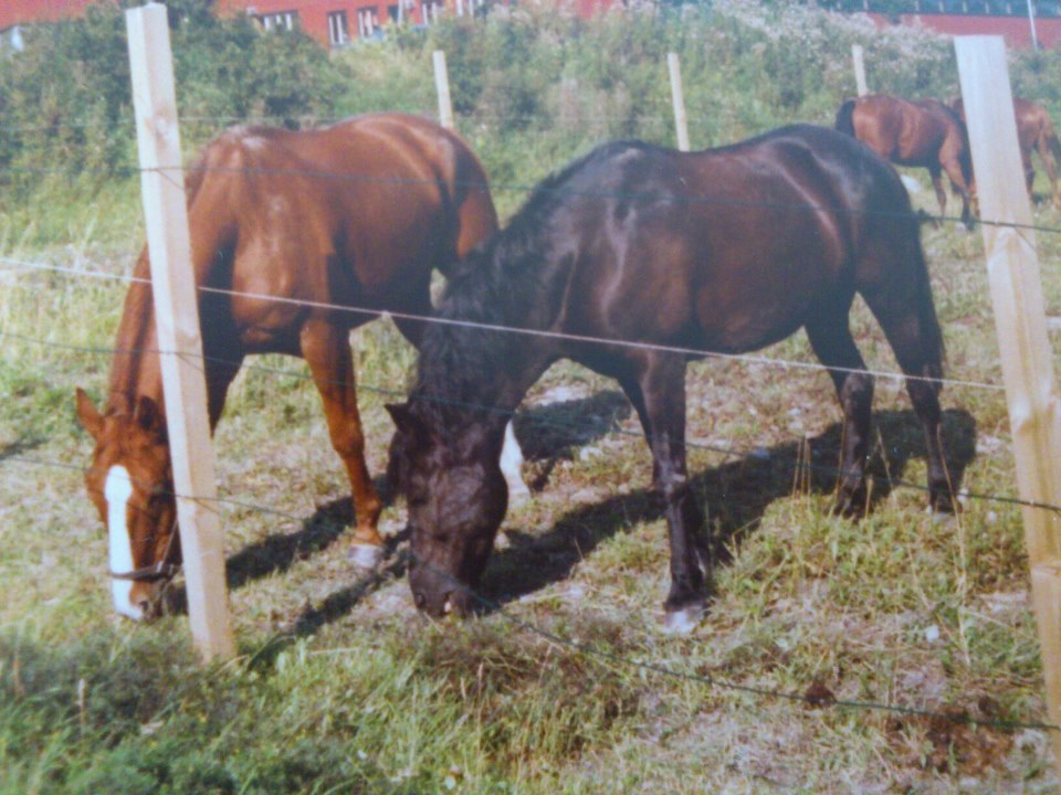 Fasett & Granit Foto Anne Ragnesand