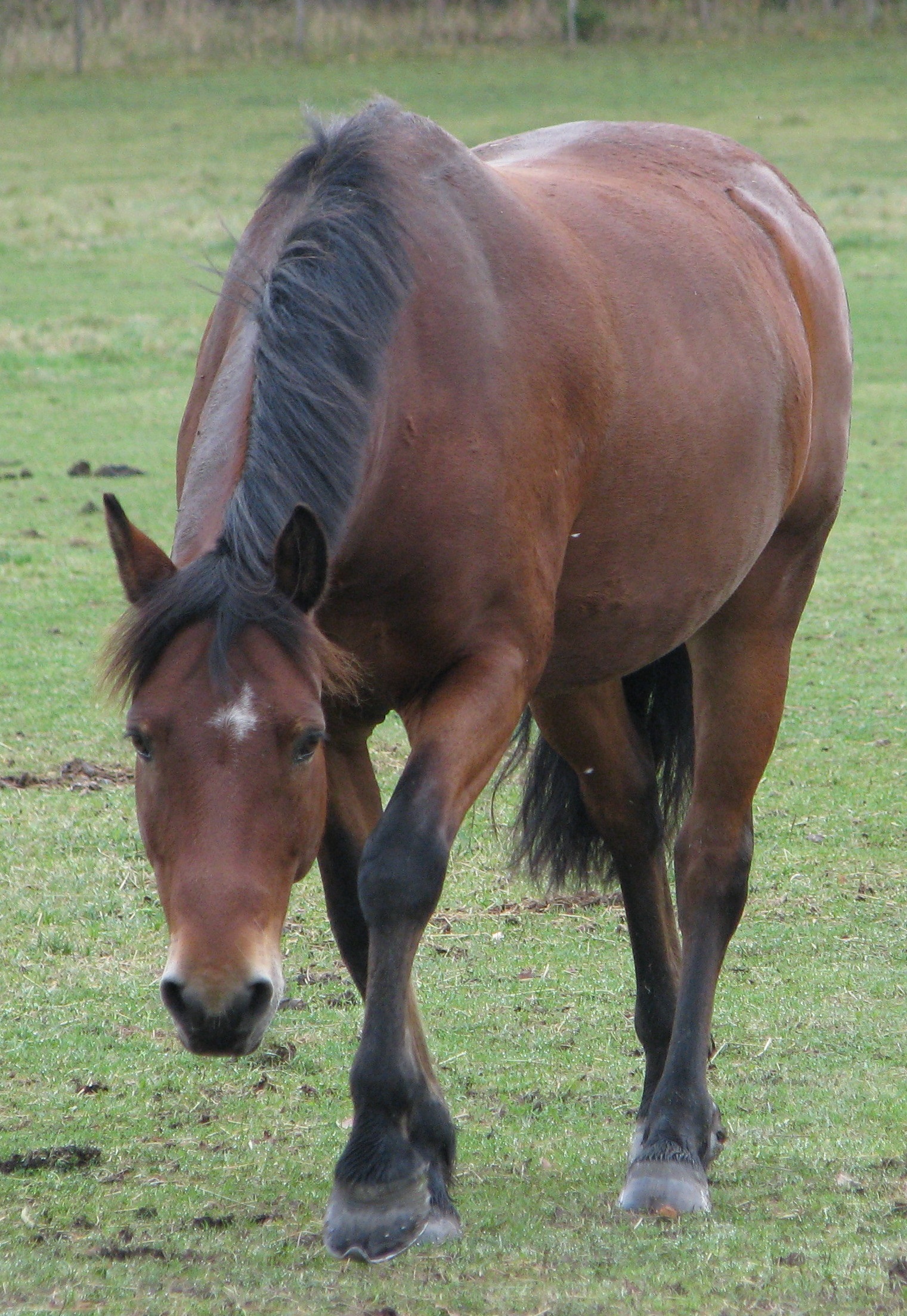 2007-10-03