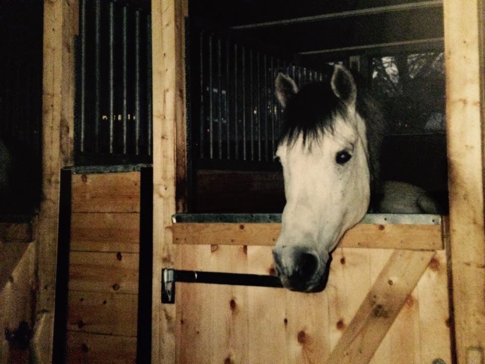Foto Lise-Lotte Englund