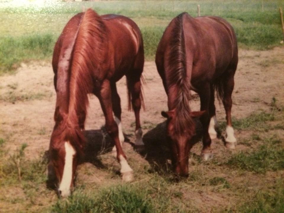 Illerim & Krabat Boo gård 1983 Foto Ingela Toth