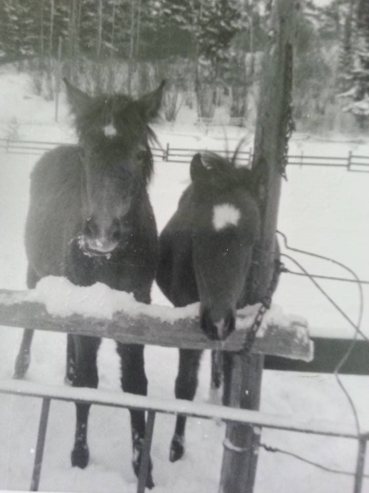 Madicken & Piller Foto Annica Isberg