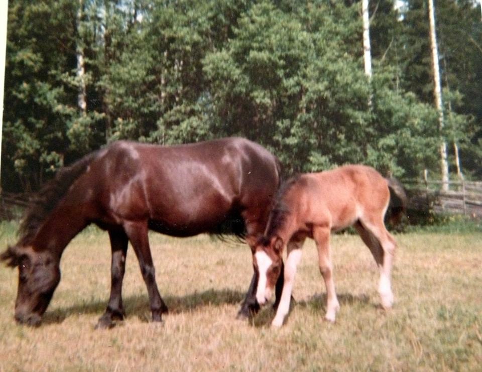 1967 Lilla My & Mannagryn Foto Birgitta Karlquist