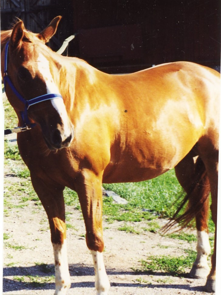 Foto Marie Kurtson