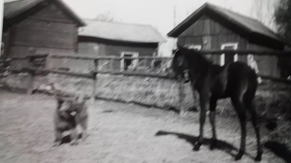 1962 Marie och hunden Tufsi Foto Karin Boëthius