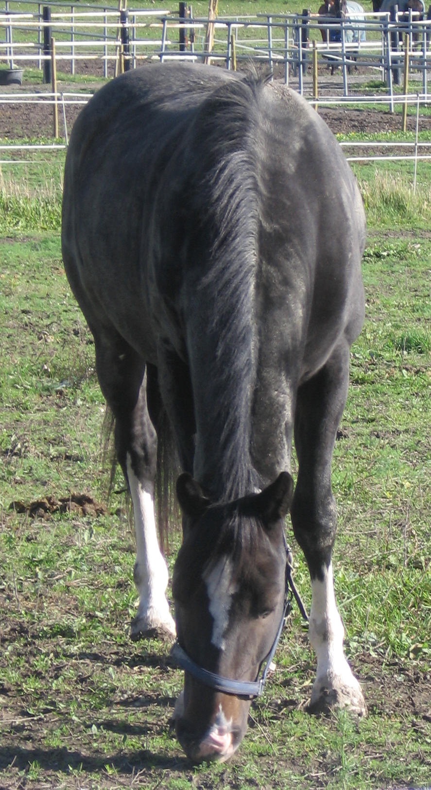 2008-02-06