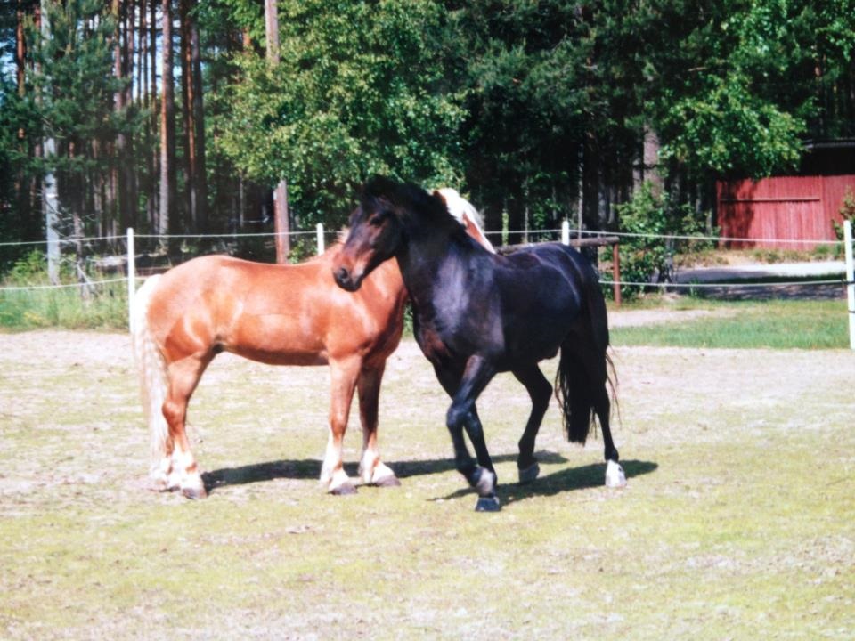 Foto Marie Berggren