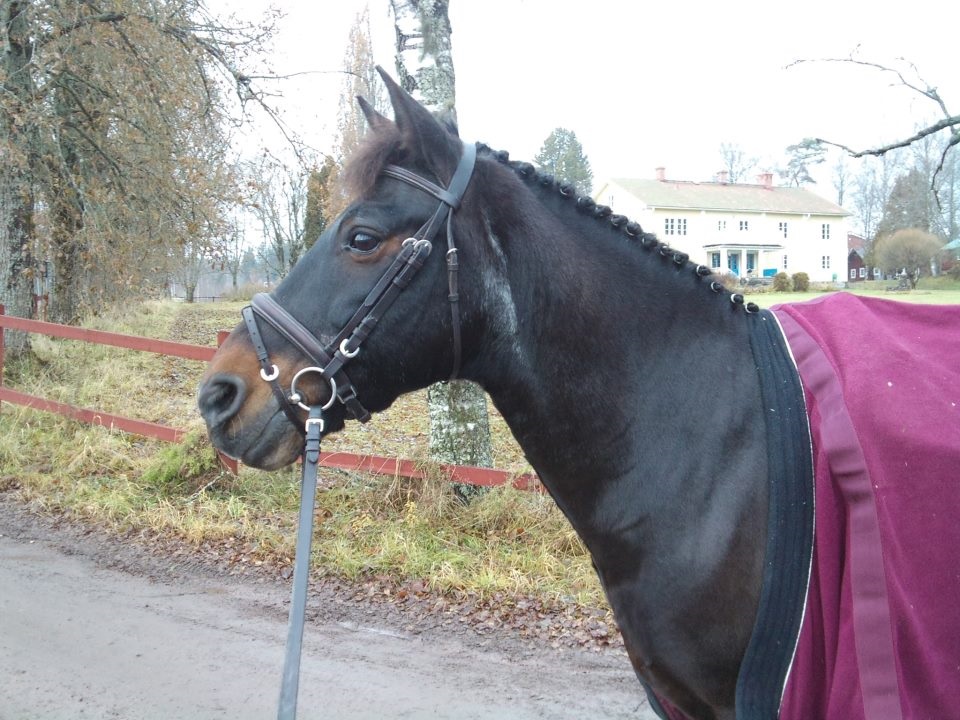 Foto Marie Berggren