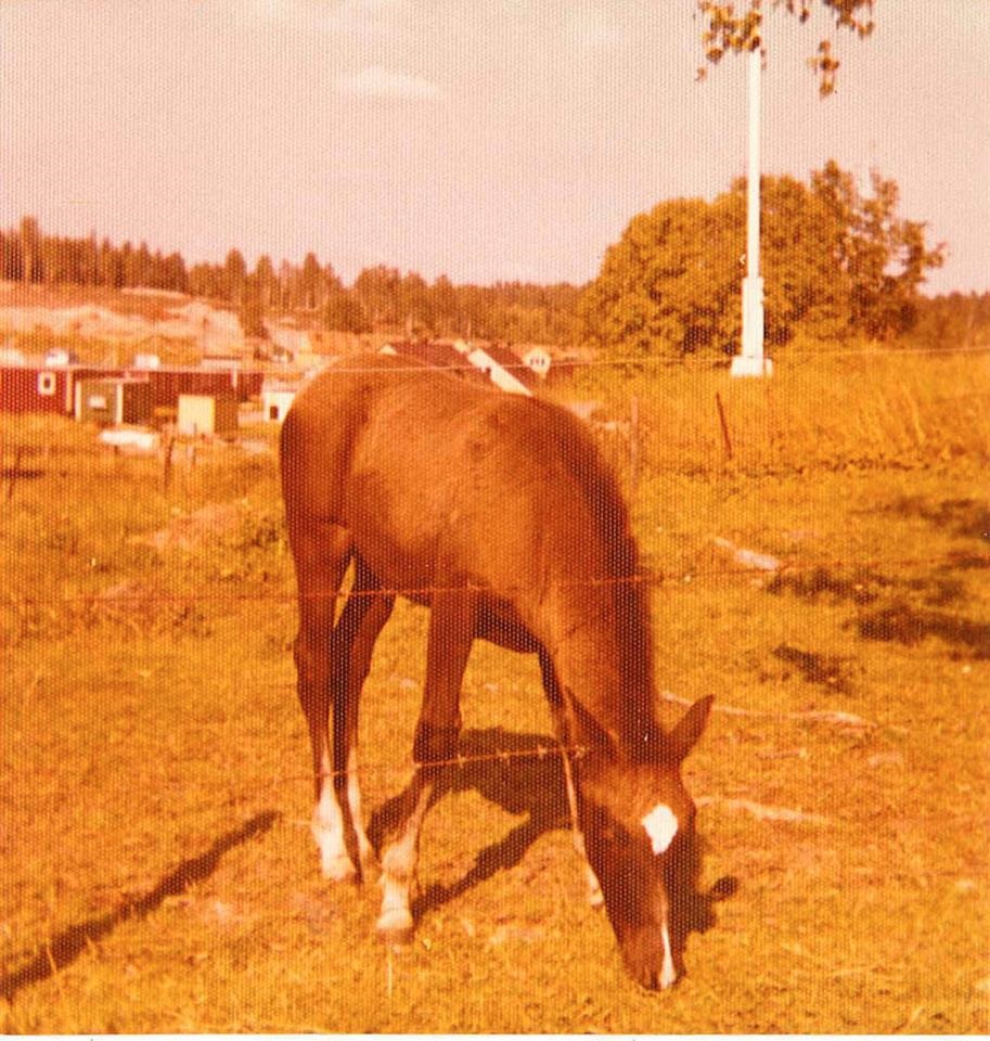 1973 Foto Christina Grape