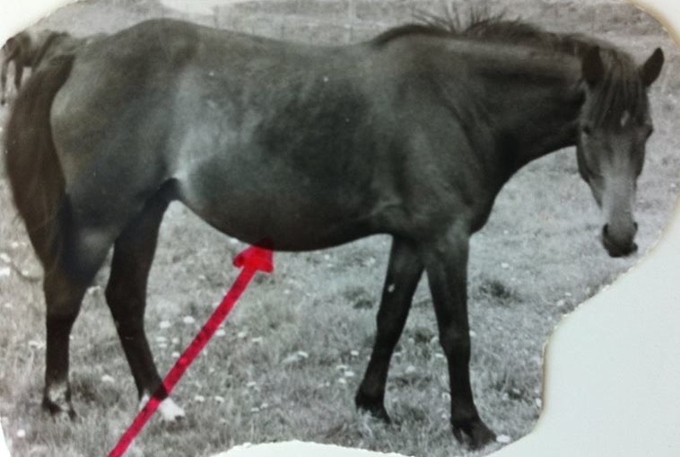 Foto Lillemor Back