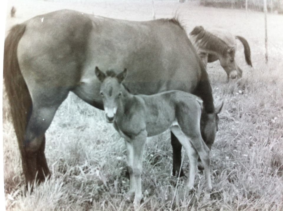 1967 Mia-Pia med mamma Mitti Foto Lillemor Back