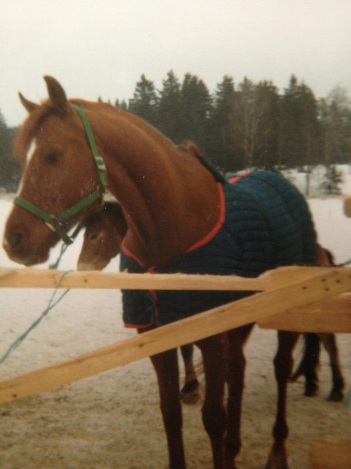 Foto Elin Kraft