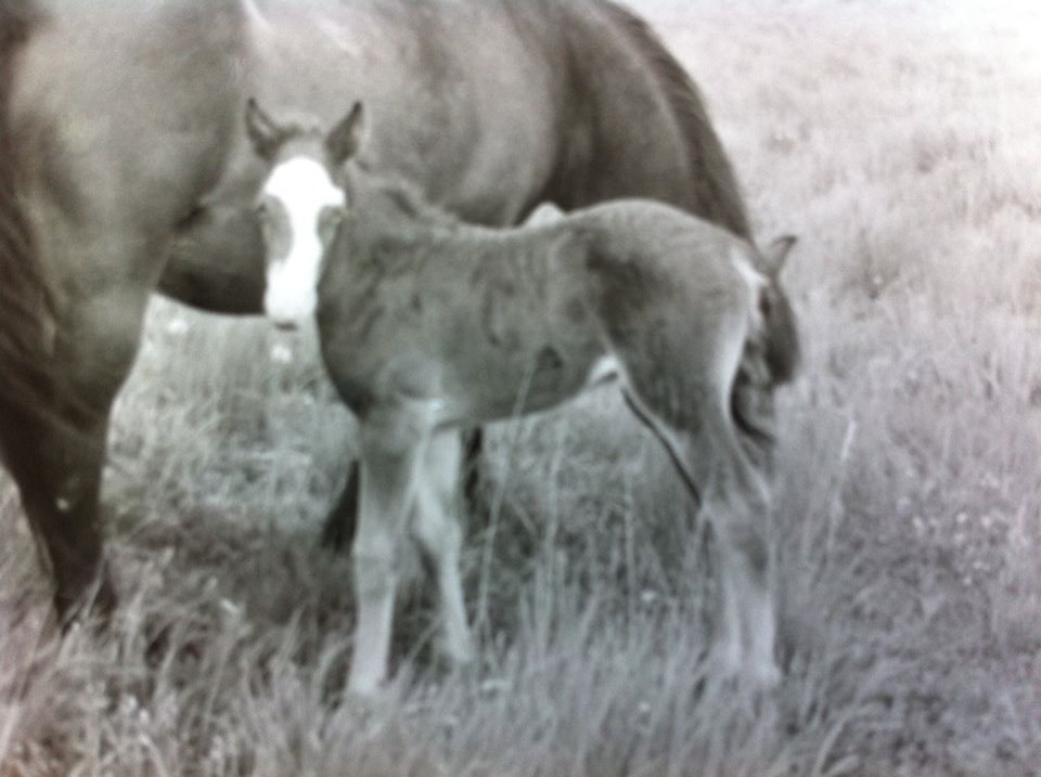1967 Foto Lillemor Back