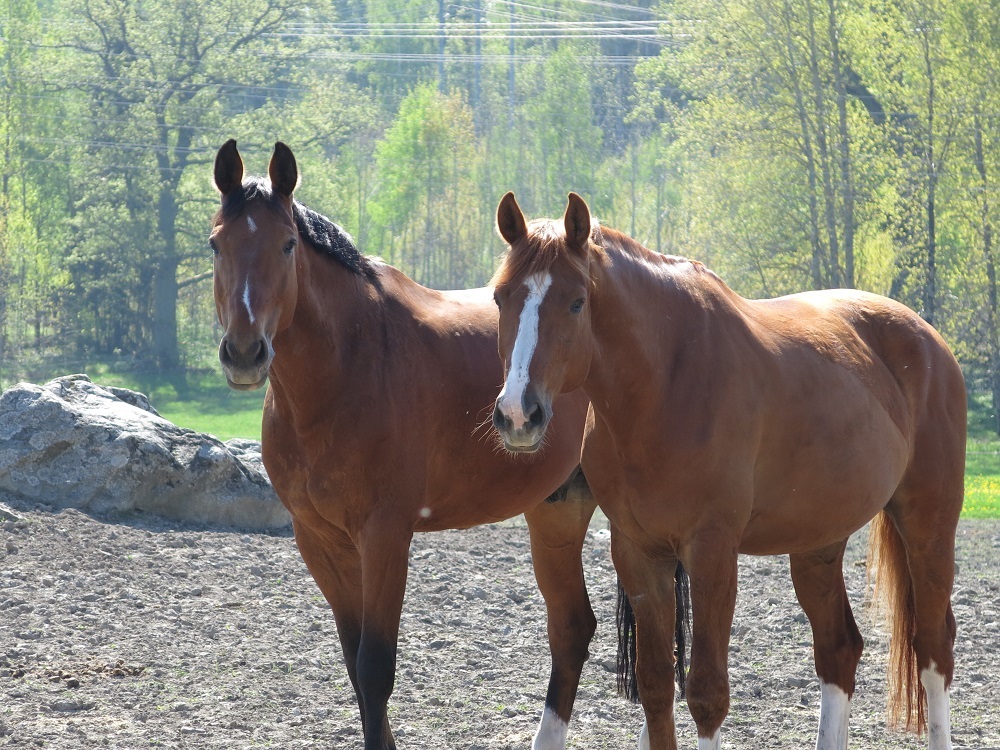 Lennon & Munken 2013-05-20