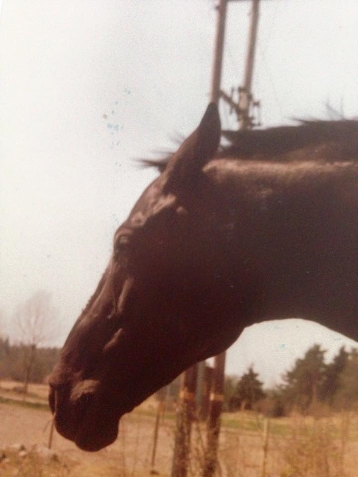 Foto Marie Sundelöf
