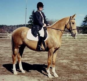 Foto Birgitta Andersson