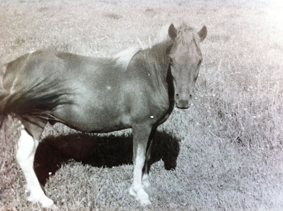 Foto Lillemor Back