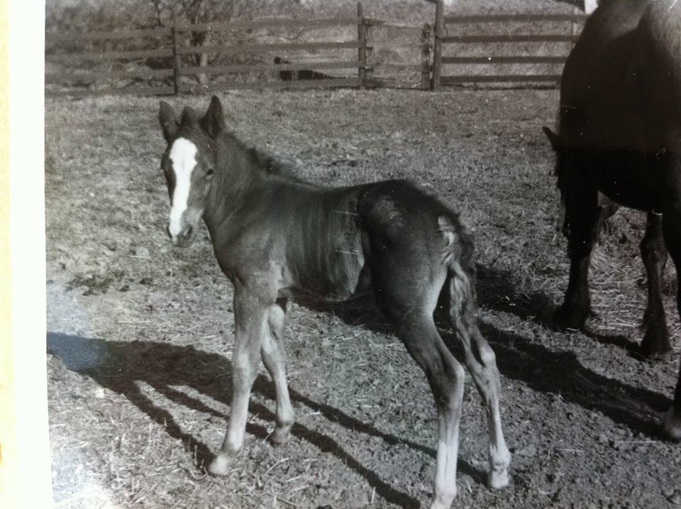 1966 Foto Lillemor Back