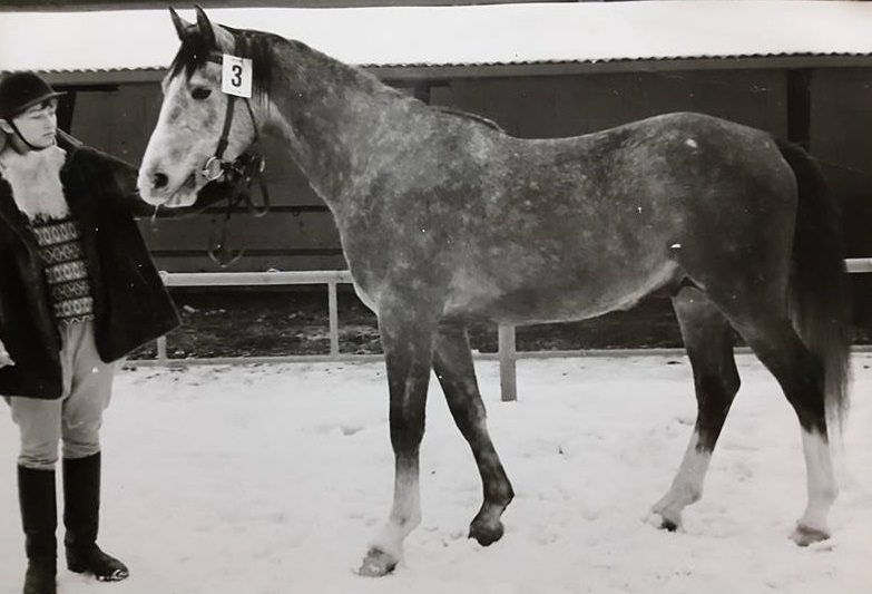 Foto Karin Boëthius 