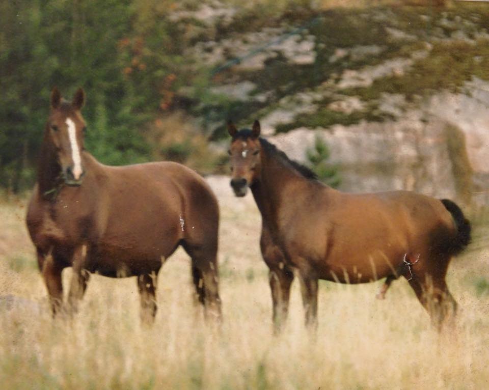 Pondis & Dompan Foto Britta Tyrfelt