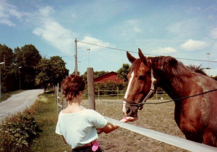 sommaren 1985? Foto sussisus