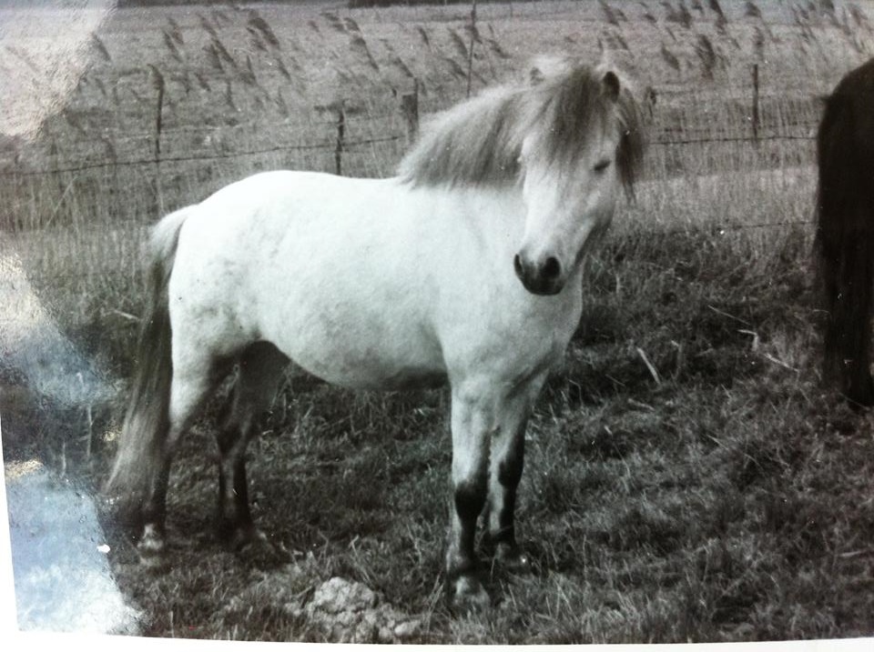 Foto Lillemor Back
