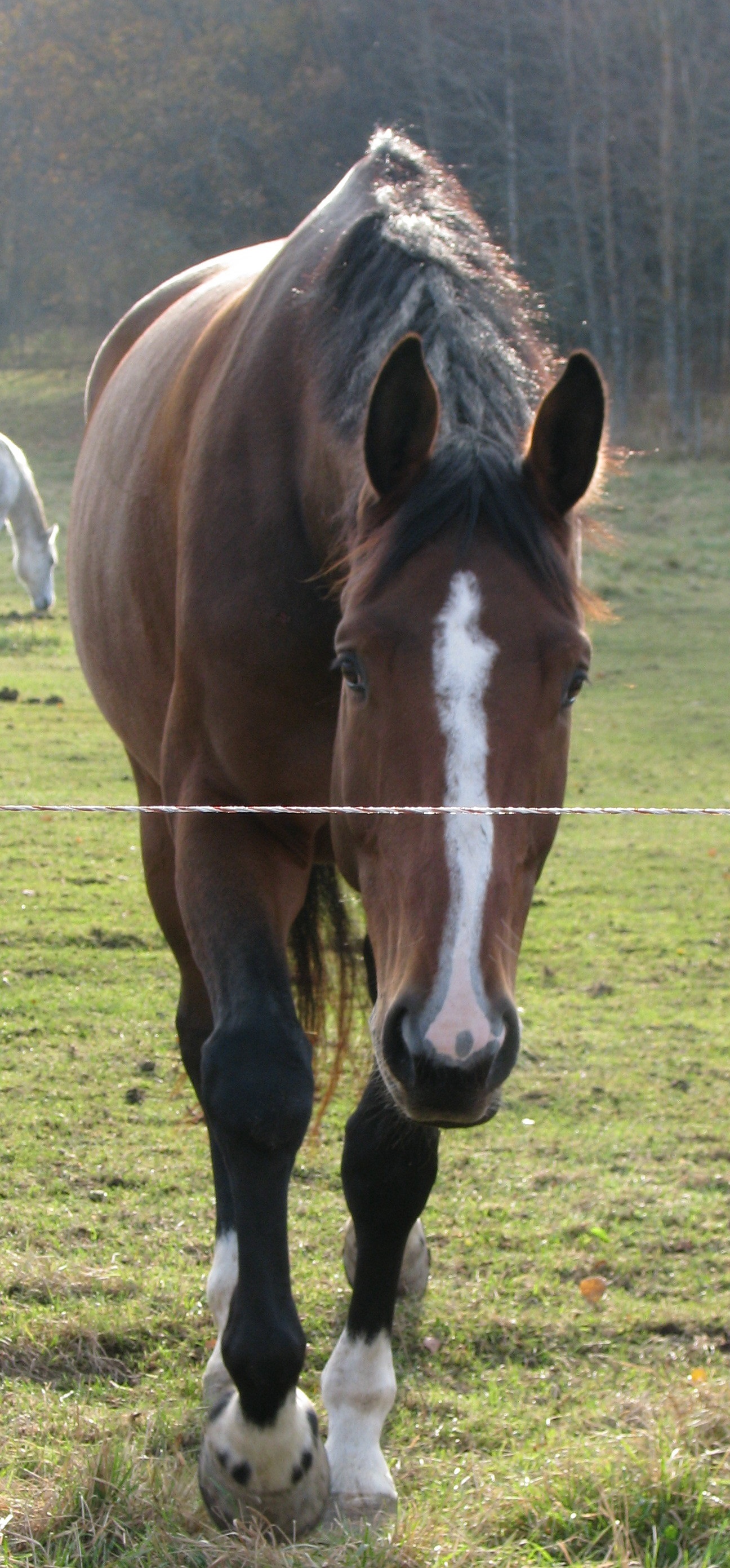 2007-10-28 