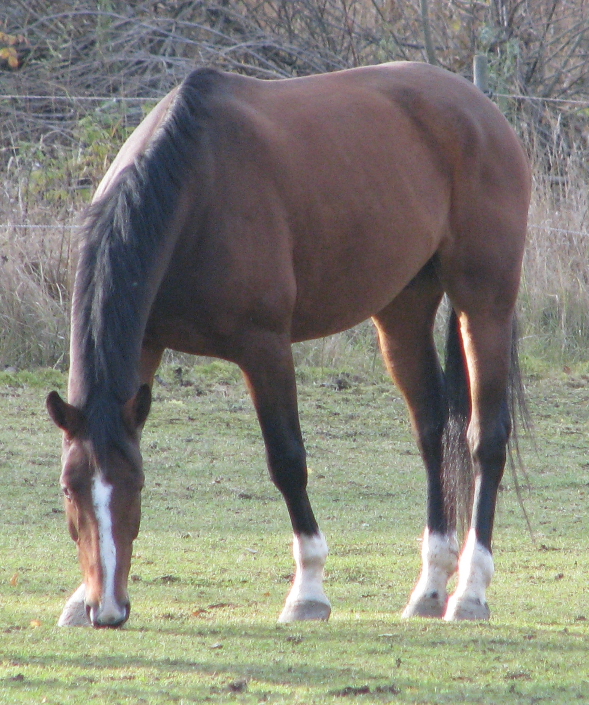 2007-10-28 