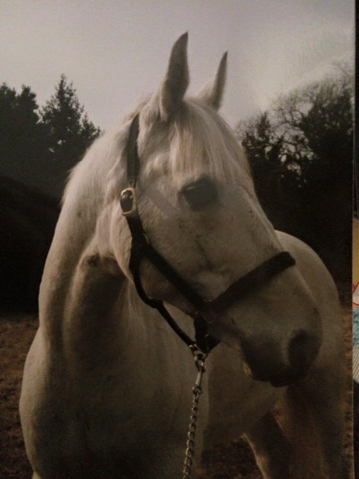 Foto Lina Forslund