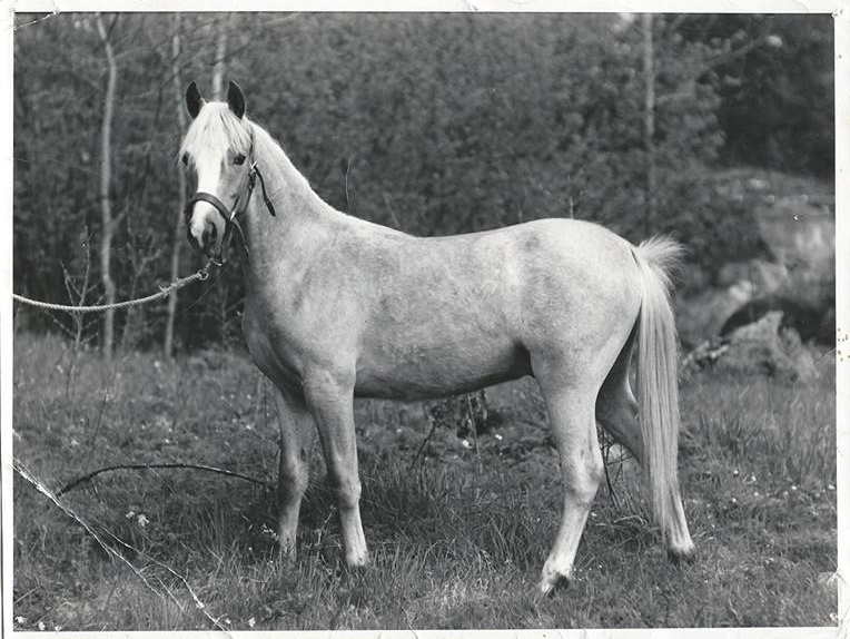Foto Karin Boëthius
