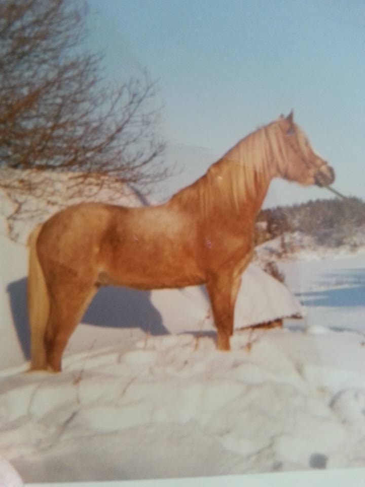 Foto Annica Isberg