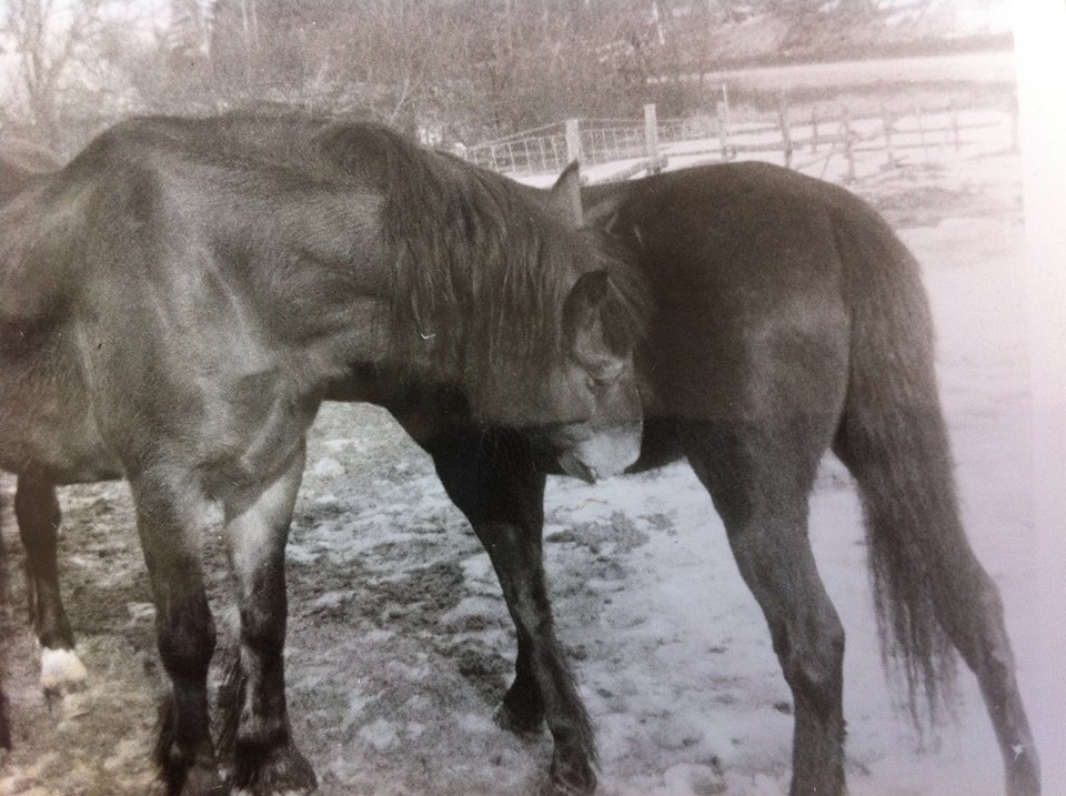 Wilma luktar på Marie Foto Lillemor Back