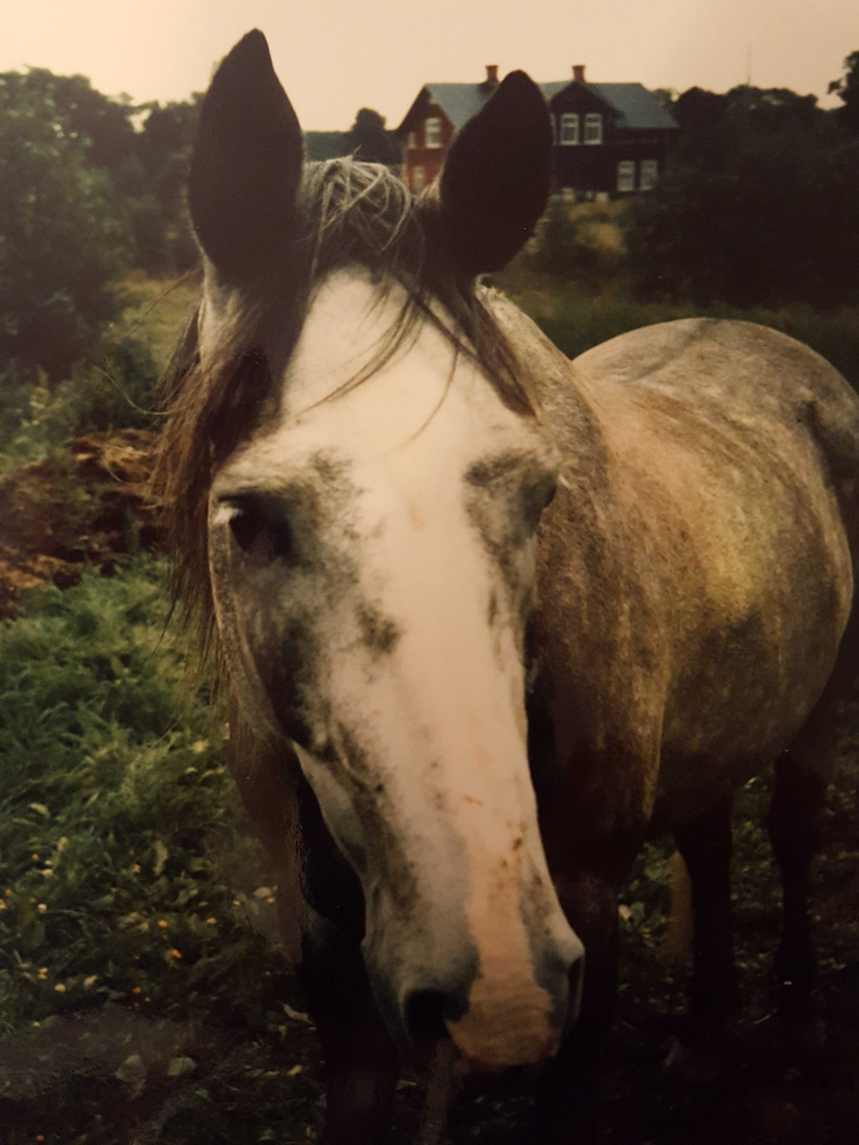 Fotat i Vretarne Foto Terre