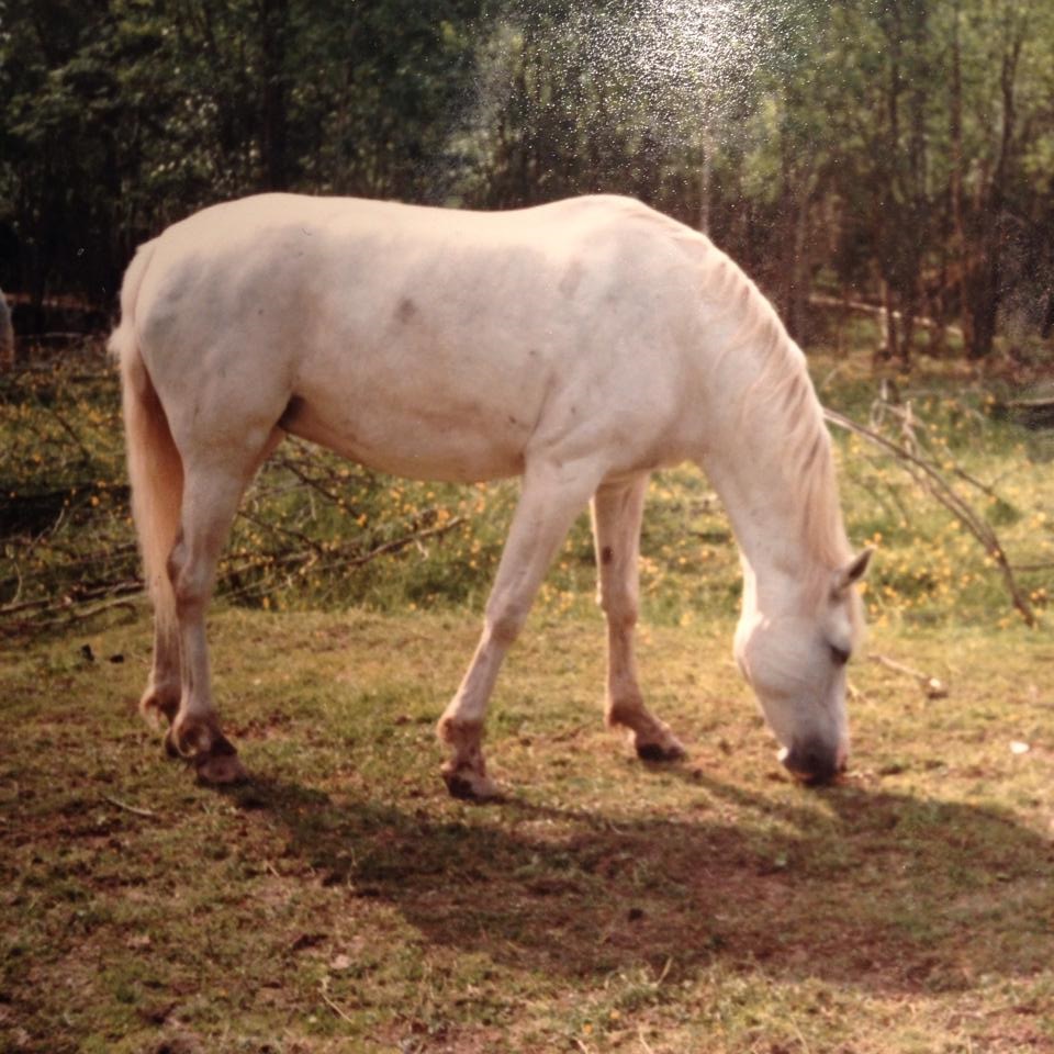 1982 ridläger Foto Ingela Toth