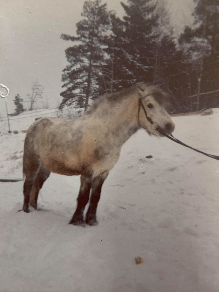 Foto Yvonne Östling
