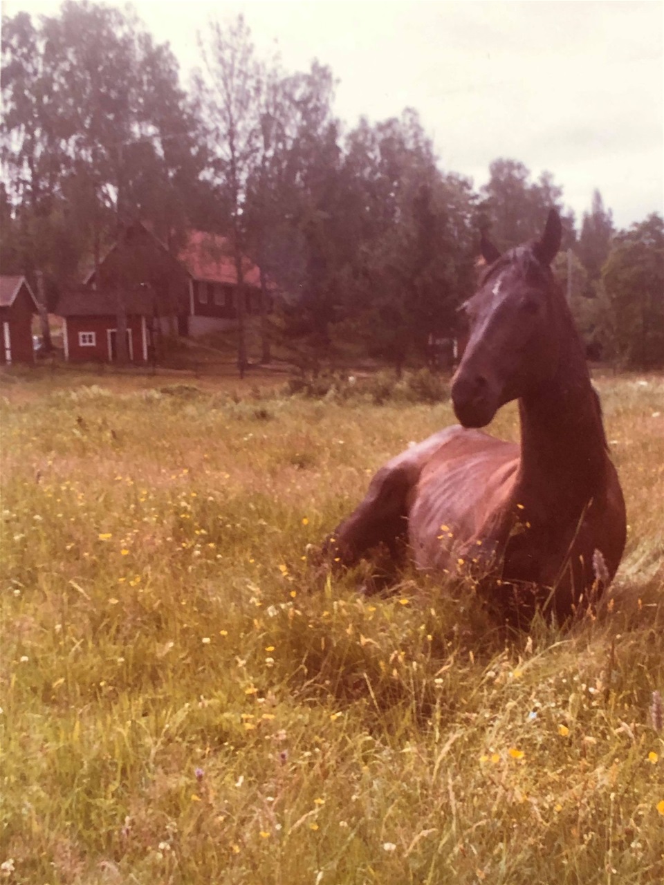 Foto Marlene Kamsvik
